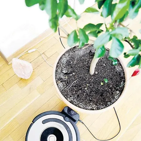 3bd Luxury In New Whit Parking * 贝尔格莱德