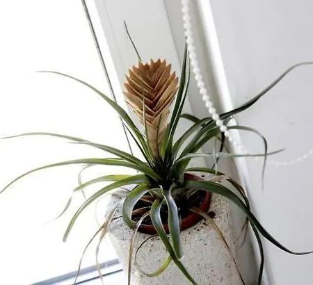 Apartment 3bd Luxury In New Whit Parking